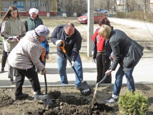 Акция «Тюльпаны Победы» в округе № 4: жители вместе с депутатом высадили более двух тысяч цветов