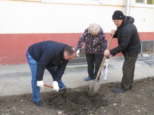 Акция «Тюльпаны Победы» в округе № 4: жители вместе с депутатом высадили более двух тысяч цветов