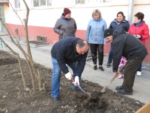 Акция «Тюльпаны Победы» в округе № 4: жители вместе с депутатом высадили более двух тысяч цветов
