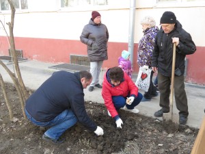 Акция «Тюльпаны Победы» в округе № 4: жители вместе с депутатом высадили более двух тысяч цветов