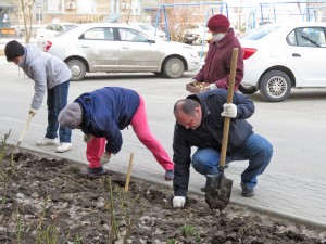 Акция «Тюльпаны Победы» в округе № 4: жители вместе с депутатом высадили более двух тысяч цветов