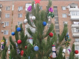 "Новогодний марафон" в избирательном округе №16