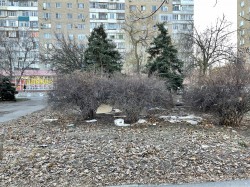 Соблюдение правил благоустройства города на контроле у депутата Сергея Асташкина