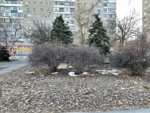 Соблюдение правил благоустройства города на контроле у депутата Сергея Асташкина