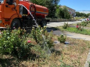 Округ 18. Розы дождались полива