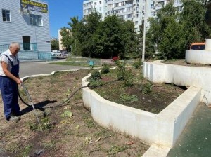Округ 18. Розы дождались полива