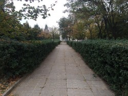 Субботник в сквере 