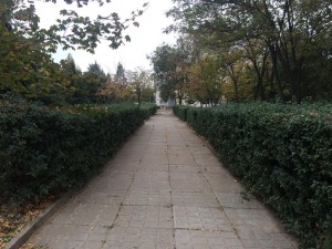 Субботник в сквере 