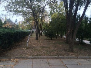 Субботник в сквере 