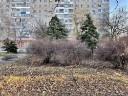 Благоустройство 8 округа на контроле у депутата Сергея Асташкина
