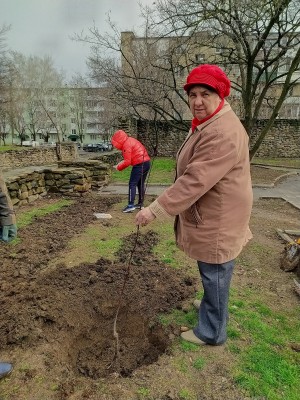СУББОТНИК В ОКРУГЕ №5 