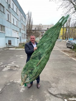 Новогодние елочки от депутата для учреждений 8 округа
