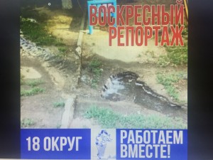 Округ 18. Воскресный репортаж.