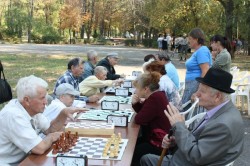 Седина в бороду, шахматы в руки