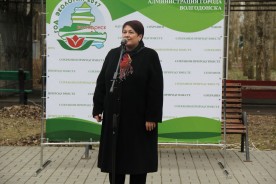 Сотни тюльпанов украсят аллеи парка Победы
