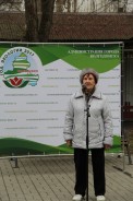 Сотни тюльпанов украсят аллеи парка Победы