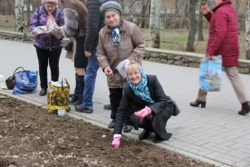 Сотни тюльпанов украсят аллеи парка Победы