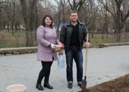 Сотни тюльпанов украсят аллеи парка Победы