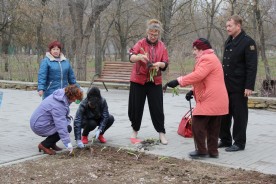 Сотни тюльпанов украсят аллеи парка Победы