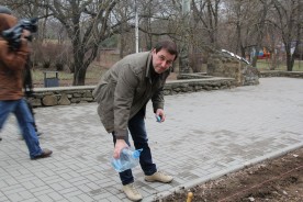 Сотни тюльпанов украсят аллеи парка Победы