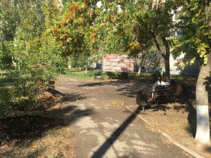 Депутат Сергей Асташкин провел встречу с членами Общественной палаты