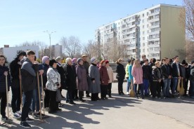 Дан старт акции «ДЕРЕВО ПАМЯТИ»