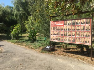 Субботник в 8 округе