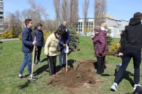 Дан старт акции «ДЕРЕВО ПАМЯТИ»