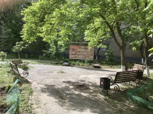 Сергей Асташкин продолжает работы в сквере «Ветеранов войны и труда»