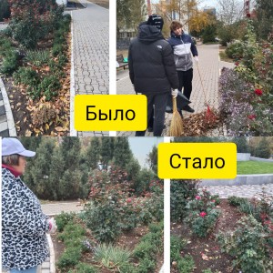 ОКРУГ 25 Осенний субботник-24