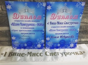 18 округ принял участие в конкурсе "Мисс Снегурочка 2020"