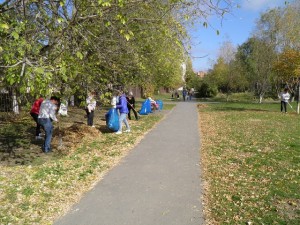 В 24 округе проходят мероприятия в рамках осеннего месячника по благоустройству