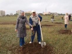 В День древонасаждения в Волгодонске высадили почти 3000 зеленых насаждений