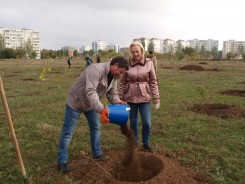 В День древонасаждения в Волгодонске высадили почти 3000 зеленых насаждений