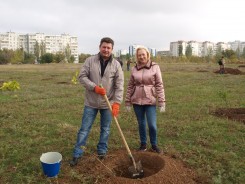 В День древонасаждения в Волгодонске высадили почти 3000 зеленых насаждений