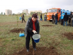 В День древонасаждения в Волгодонске высадили почти 3000 зеленых насаждений