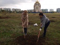 В День древонасаждения в Волгодонске высадили почти 3000 зеленых насаждений