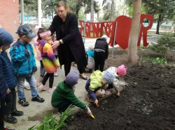 Акция «Цветы Победы» в 8 округе 