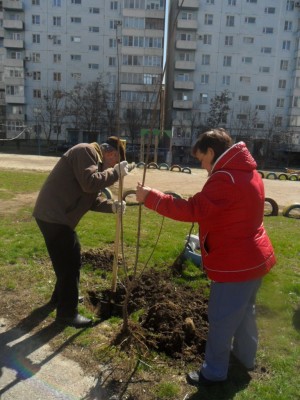 Субботник в округе №11 состоялся....