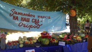 С Праздником, 10 округ!