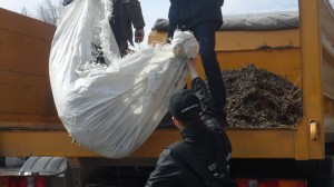 "Вместе работать здорово!"
