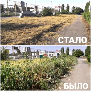 округ 18. Решен вопрос с покосом амброзии.