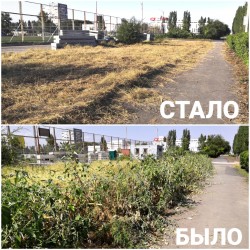 округ 18. Решен вопрос с покосом амброзии.
