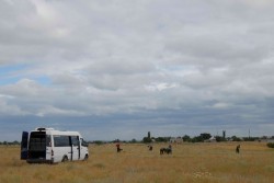 Ученые зафиксировали отсутствие негативного влияния Ростовской АЭС на экосистемы Дона