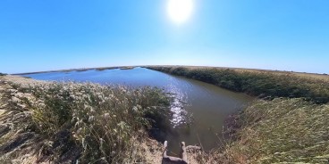 Экологи Ростовской АЭС выпустили в реку Дон 1 миллион мальков белого амура и сазана 