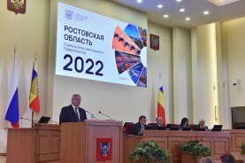 Василий Голубев выступил с отчетом за 2022 год перед донскими депутатами