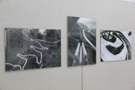 В Волгодонске завершила свою работу фотовыставка «Продолжаю жизни бег…»