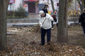 Городская Дума вышла на общегородской субботник