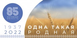 Ростовской области – 85 лет
