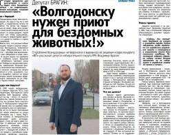 Волгодонску нужен приют для бездомных животных!